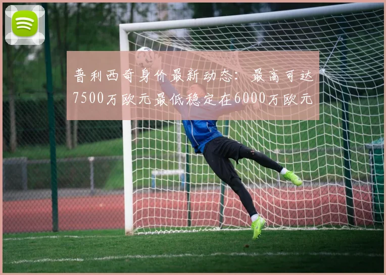 普利西奇身价最新动态：最高可达7500万欧元最低稳定在6000万欧元