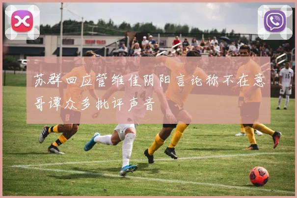 苏群回应管维佳阴阳言论称不在意哥谭众多批评声音