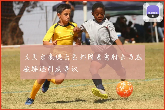 戈贝尔表现出色却因恶意肘击马威被驱逐引发争议