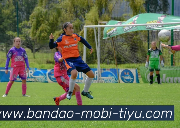 半岛体育品牌故事