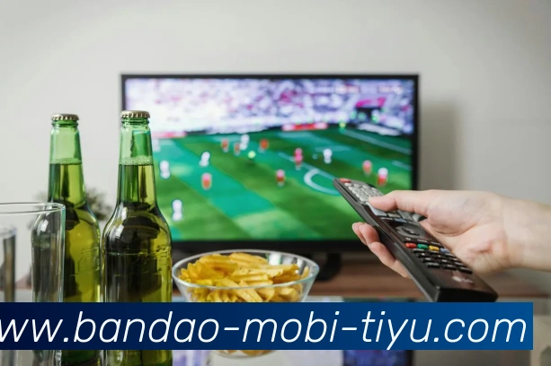 半岛体育服务体系